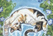 The Floating Cat - Mystical Cats Tarot 4