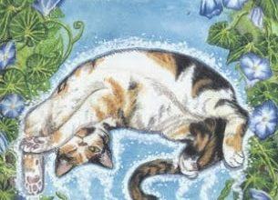 The Floating Cat - Mystical Cats Tarot 10