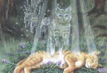 Death - Mystical Cats Tarot 12