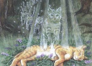 Death - Mystical Cats Tarot 17