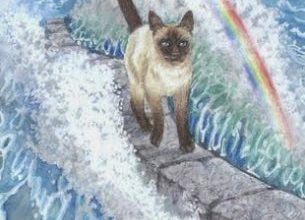 Grace - Mystical Cats Tarot 17