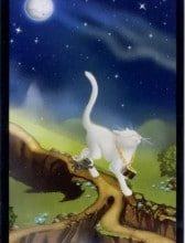 Black Cats Tarot - Sách Hướng Dẫn 9