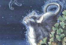 Stars - Mystical Cats Tarot 11