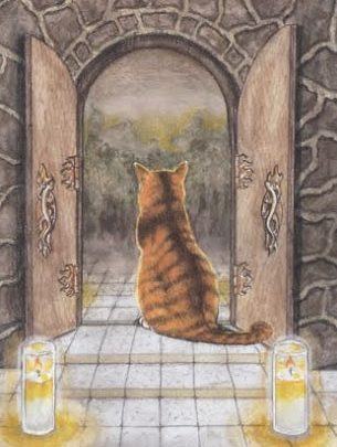 Two of Fire - Mystical Cats Tarot 1
