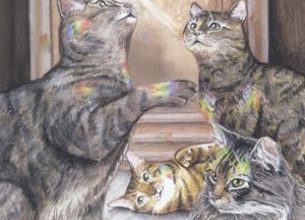 Four of Fire - Mystical Cats Tarot 15