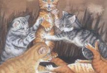 Five of Fire - Mystical Cats Tarot 21