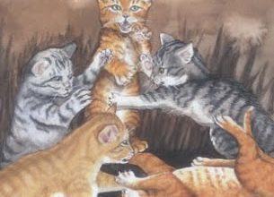 Five of Fire - Mystical Cats Tarot 9