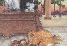 Eight of Fire - Mystical Cats Tarot 17