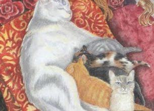 The Empress - Mystical Cats Tarot 16