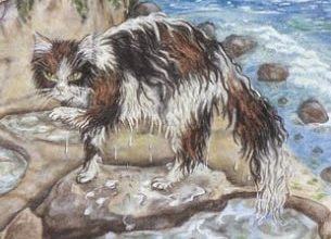 Five of Sea - Mystical Cats Tarot 14