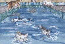 Six of Sea - Mystical Cats Tarot 16
