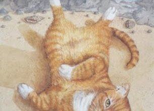 Sea Tom - Mystical Cats Tarot 23