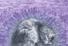 Four of Sky - Mystical Cats Tarot 19