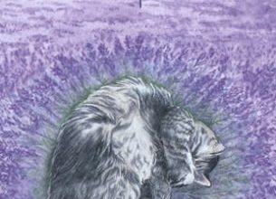 Four of Sky - Mystical Cats Tarot 9