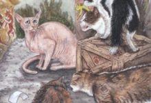 Five of Sky - Mystical Cats Tarot 11