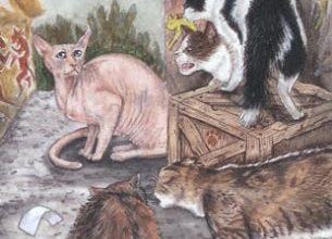 Five of Sky - Mystical Cats Tarot 4