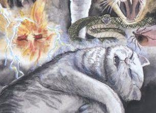 Nine of Sky - Mystical Cats Tarot 5
