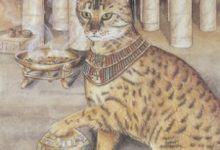 The Priest - Mystical Cats Tarot 11