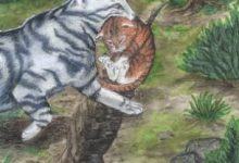 Earth Tom - Mystical Cats Tarot 29