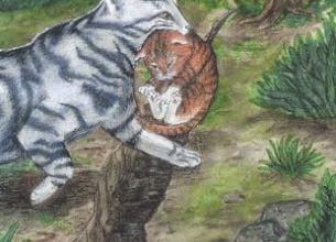 Earth Tom - Mystical Cats Tarot 21