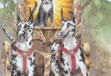 The Chariot - Mystical Cats Tarot 12