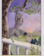 Cat's Eye Tarot - Sách Hướng Dẫn 9