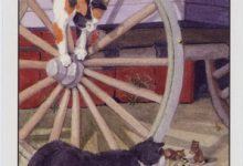 Lá X. Wheel of Fortune - Cat's Eye Tarot 13