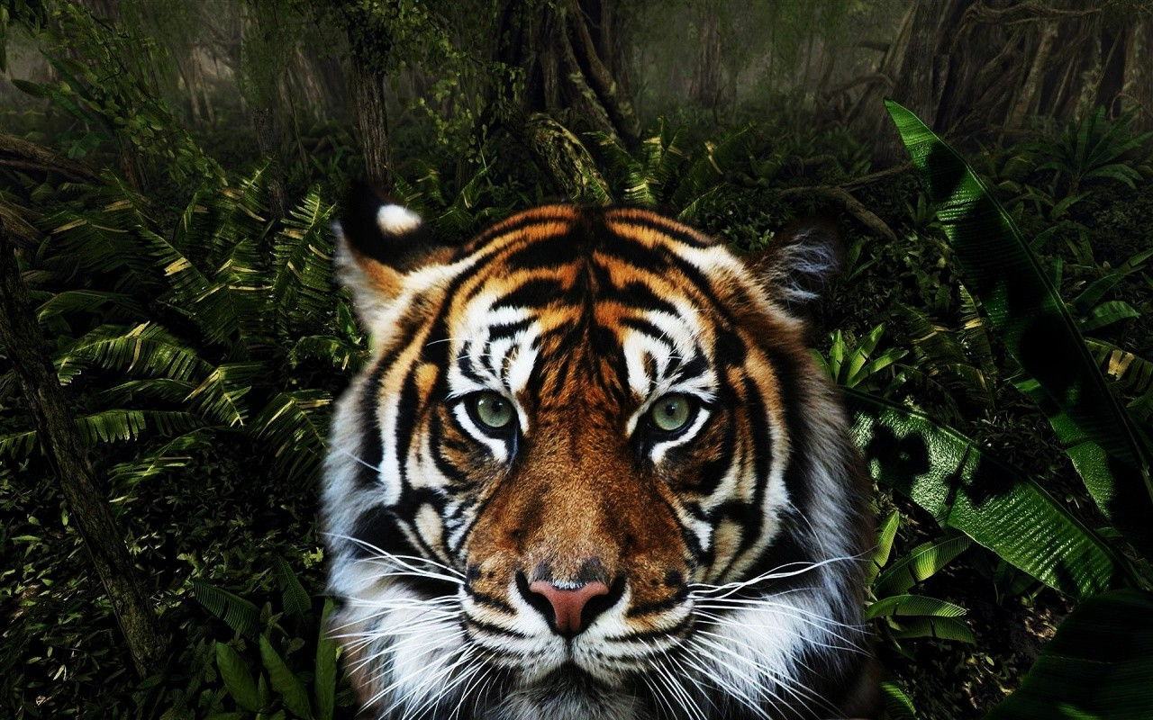 Tuyển tập hình ảnh động vật “siêu” dáng yêu - Động Vật 44
