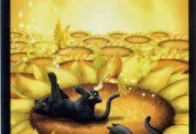 Lá XIX. The Sun - Black Cats Tarot 17