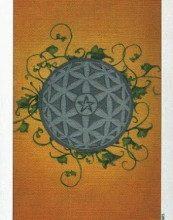 Lá Ace of Pentacles - Sun and Moon Tarot 15