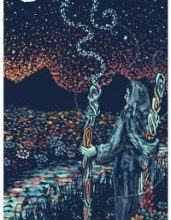 Lá Two of Wands - Prisma Visions Tarot 318