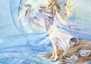 Lá Five of Cups - Shadowscapes Tarot 19