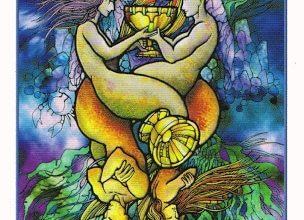 Lá Two of Cups - Revelation Tarot 8