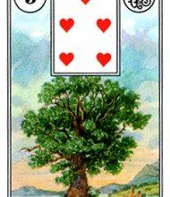 Ý Nghĩa Lá Bài Lenormand Tree (5) 9
