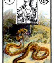 Kết Hợp Lá Bài Lenormand Snake (7) 10