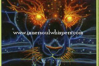Lá Nourish the soul - Messenger Oracle 15