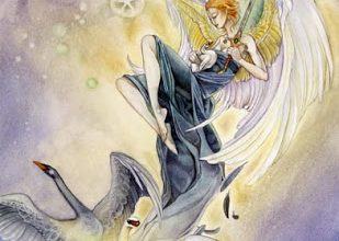 Lá Page of Swords - Shadowscapes Tarot 11