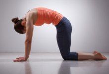 Gợi ý 3 động tác yoga giúp giảm đau lưng cực kì đơn giản mà lại vô cùng hiệu quả - Kiến Thức Chia Sẻ 16