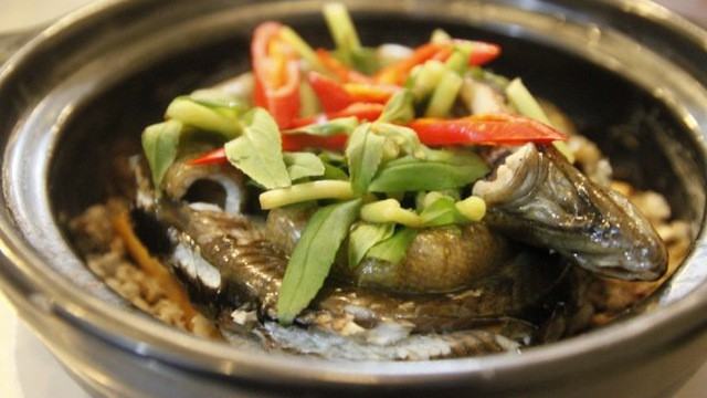 Nhiều người ăn thịt lươn mà không biết rằng nó là sâm động vật - trong Đông y là thuốc quý như vàng nhờ những công dụng này - Ảnh 3.