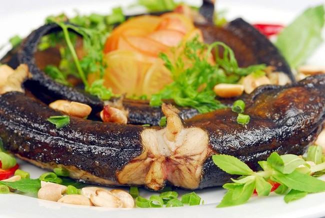 Nhiều người ăn thịt lươn mà không biết rằng nó là sâm động vật - trong Đông y là thuốc quý như vàng nhờ những công dụng này - Ảnh 4.