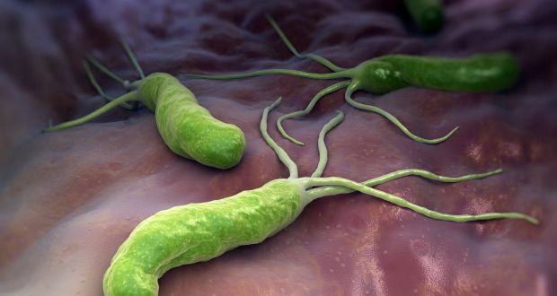 Cảnh báo: 12 loại vi khuẩn kháng kháng sinh đáng sợ đang là mối đe dọa rất lớn đến sức khỏe con người - Ảnh 8.