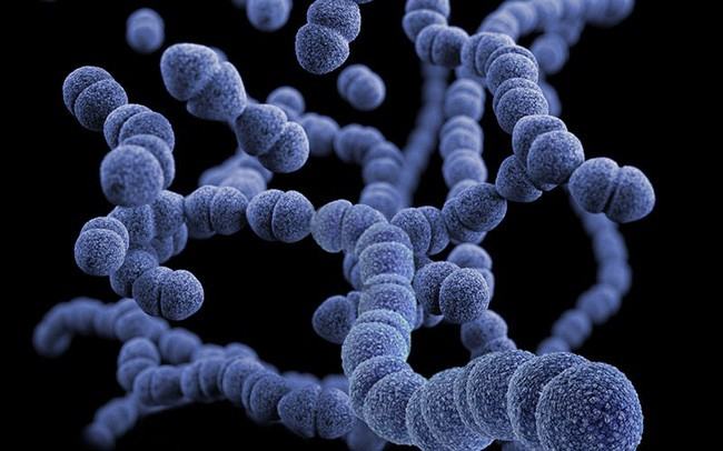 Cảnh báo: 12 loại vi khuẩn kháng kháng sinh đáng sợ đang là mối đe dọa rất lớn đến sức khỏe con người - Ảnh 12.