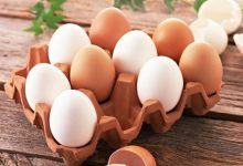 Ai cũng sợ ăn trứng gà làm tăng cholesterol nhưng mỗi ngày ăn một quả trứng gà sẽ nhận được lợi ích ai cũng muốn như sau - Kiến Thức Chia Sẻ 2
