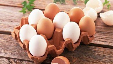 Ai cũng sợ ăn trứng gà làm tăng cholesterol nhưng mỗi ngày ăn một quả trứng gà sẽ nhận được lợi ích ai cũng muốn như sau - Kiến Thức Chia Sẻ 6