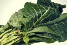Cải rổ - loại rau có thể cứu sống bạn mà lại dễ dàng tìm mua - Kiến Thức Chia Sẻ 12