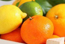 Ăn trái cây họ cam quýt xong đừng vội vứt vỏ đi vì nó có nhiều lợi ích sức khỏe tuyệt vời đến thế này cơ mà - Kiến Thức Chia Sẻ 9