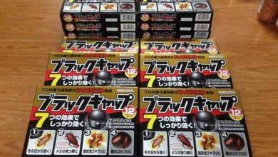 Cách sử dụng thuốc diệt gián Nhật Bản 5