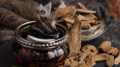 Đốt trầm hương: Tác dụng – ý nghĩa và cách đốt trầm hương 7