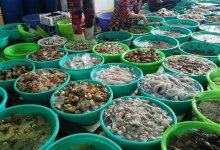 Top 9 địa chỉ mua hải sản tươi sống ngon nhất TPHCM 3