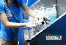 Top 9 dịch vụ chăm sóc thú cưng uy tín nhất tại TPHCM 2